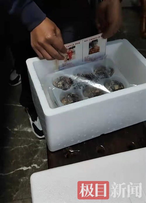 孫海洋跨界餐飲 以包子為媒，將尋親信息送入千家萬戶